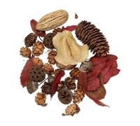 QUARKZMAN Lot de Fleurs Séchées Naturelles, Fleurs Pressées Séchées Feuilles Séchées en Vrac Kit De Plantes Naturelles Bouquets De Fleurs Séchées pour Scrapbooking Créations (Rouge+Marron)