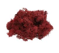 QUARKZMAN Mousse de Renne Préservée, 4 Oz de Fausse Mousse pour L'Artisanat, Mousse Séchée Artificielle pour la Décoration, L'Artisanat, Les Terrariums, Les Plantes en Pot (Rouge Foncé)