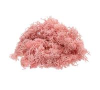 QUARKZMAN Mousse de Renne Préservée, 4 Oz de Fausse Mousse pour L'Artisanat, Mousse Séchée Artificielle pour la Décoration, L'Artisanat, Les Terrariums, Les Plantes en Pot (Rose Clair)