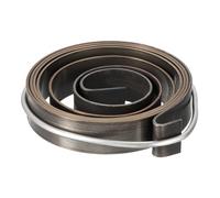 QUARKZMAN Ressort de Presse à Colonne Ressort de Rappel en Acier à Ressort avec Finition de NoiRCissement Chimique 1100mm de Longueur d'Extension 45 x 10 x 0,8mm 1 Pièce
