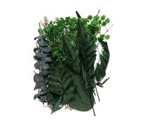 QUARKZMAN Set De Fleurs Séchées Naturelles, Fleurs Pressées Séchées Feuilles Séchées en Vrac Kit De Plantes Naturelles Bouquets De Fleurs Séchées pour Scrapbooking (Feuilles Vertes)