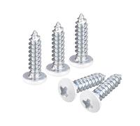 QUARKZMAN ST2.5x10mm Blanc Vis Autotaraudeuse, 100pcs Poêle Tête Phillips Bois Vis pour Travail Bois
