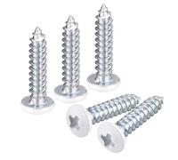 QUARKZMAN ST2.5x12mm Blanc Vis Autotaraudeuse, 100pcs Poêle Tête Phillips Bois Vis pour Travail Bois