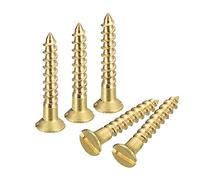 QUARKZMAN Vis à Bois en Laiton, 80Pcs M2.5 x 16mm à Fente Tête Plate Auto-Taraudeuse pour Travail Du Bois Meubles