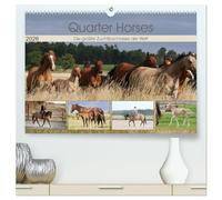 Quarter Horses - Die größte Zuchtbuchrasse der Welt (hochwertiger Premium Wandkalender 2026 DIN A2 quer), Kunstdruck in Hochglanz: Quarter Horses Pferdezucht, Wandkalender mit 12 verschiedenen Fotos