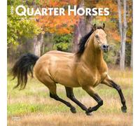 BrownTrout - Calendrier Quarter Horses 2026 - 16 mois - Multilingue - Carré à rabat