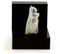 QUARTZ A AME CALCITE - Pierre Naturelle en Provenance de Saint-André d'Embrun, Hautes-Alpes, France- Cristal Rare et Puissant 9.68 ct - Certificat d'Authenticité Inclus 24 x 10 x 8 mm G