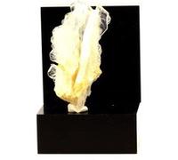 QUARTZ À AME - Pierre Naturelle en Provenance de France, La Rochette, Chambéry - Cristal Faden Quartz, Roche Rare et Authentique - 94.0 ct - Certificat d'Authenticité Inclus 55 x 30 x 22 mm G