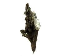 Quartz + Chlorite. 203.0 Ct. Vizille, Isère, France..