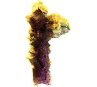 QUARTZ PRASE - Pierre Naturelle de Mongolie Intérieure, Chine - Cristal Vert Naturel, Énergie Positive et Guérison 1080.5 ct - Certificat d'Authenticité Inclus 95 x 90 x 65 mm Vert G