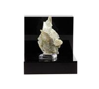 Quartz Sceptre. 201.9 Ct. Nikolaevskiy Mine, Dal'negorsk, Russie.