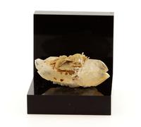 Quartz, Siderite, Baryte. 52.1 Ct. Mésage Mine, Vizille, France. Rare.
