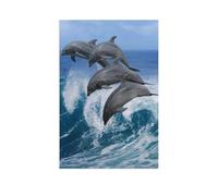 Quatre Beaux Dauphins sautent par-Dessus des Vagues Qui éclatent.，Puzzles pour Adultes Puzzle de 1000 pièces pour Enfants Jouets en Papier（50x70cm）-AR70