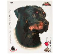 Quattroerre Adhésif Rottweiler, 14 x 16 cm