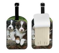 Quatuor de petits chiots Berger Australien,Étiquettes à bagages en cuir PU, étiquette nominative de voyage résistante, lot de 2