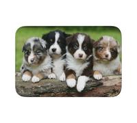Quatuor de Petits Chiots Berger Australien,Paillasson Tapis Tapis Tapis Polyester Antidérapant Décor de Sol Absorbant Salle de Bain Pad