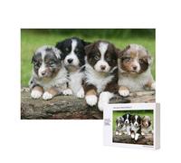 Quatuor de Petits Chiots bergers australiens,Puzzle Familial en Bois de 300 pièces pour Adultes et Adolescents, décoration d'intérieur