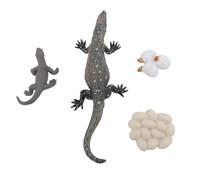 Qudinip 4 Pièces Jouet de Cycle de Vie de Lézard, Modèle éducatif Réaliste de Cycle de Croissance d'animal de Reptile avec des Détails Complexes, pour Les Enfants Apprenant la Nature et
