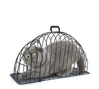 Qudinip Cage de Bain pour Chat en Métal Durable pour Le Bain, Le Séchage et Les Médicaments des Chats et Chatons, Poignée Ergonomique, 1 unité (Petite)