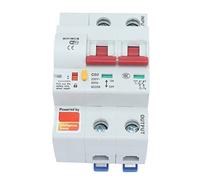 Qudinip Disjoncteur Intelligent 2P WiFi Bluetooth Commutateur de Télécommande Protection Fiable contre les Surintensités pour L'alimentation Domestique PA66 Ignifuge (80A)