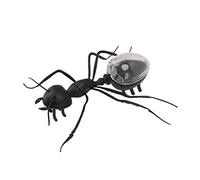 Qudinip Jouet éducatif Fourmis à énergie Solaire, Jouet Insecte Portable Amusant pour Enfants, ABS Compact 9x8x3cm