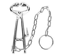 Qudinip Laisse pour Nez de Vache, Laisse en Acier Durable avec Chaîne pour la Vaccination du Bétail et Le Marquage des Oreilles, Robuste 52x7,7x2,5 Cm, 1 unité