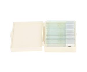 Qudinip Lames de Microscope en Verre Optique, Ensemble Transparent de 25 Pièces pour L'observation des Cellules D'algues et des Spécimens de Tissus Végétaux