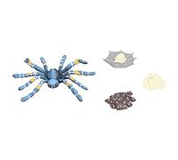 Qudinip Modèle de Cycle de Croissance D'araignée, Jouet éducatif pour Enfants, pour Explorer Les Cycles de Vie, Ensemble de 4 Pièces en Plastique
