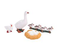 Qudinip Modèle de Cycle de Vie en 4 étapes, Jouet éducatif du Cycle de Croissance Animale pour Enfants, avec étapes de Développement Détaillées pour L'apprentissage des Sciences (A)