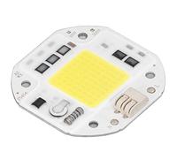 Qudinip Perle de LED D'intense luminosité de Puce de Lumière D'épi pour L'éclairage D'intérieur de Projecteur de Lampe de Bricolage 220V (100W Blanc froid 6000K-6500K)