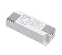 Qudinip Pilote D'alimentation LED Haute efficacité pour éclairage Intérieur et Extérieur, Transformateur Compact 32-69V 300mA, Matériau ABS