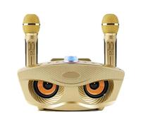 Qudinip SD306 Double Microphone Hibou Haut-Parleur Portable Bluetooth Haut-Parleur avec Deux Microphones pour Machine de karaoké à Domicile ABS Conception Durable (Or)
