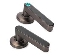Qudinip Serrure de Poignée de Porte Bluetooth Intelligente avec Empreinte Biométrique et Entrée de Mot de Passe pour la sécurité de la Maison, Alliage de Zinc, Chrome, Accès sans clé (Noir)