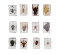 Qudinip Spécimens D'insectes Réels, 12 Pièces en Résine Transparente, éducation Scientifique, Spécimen D'insecte de Classe, Ornement de Table, Cadeau D'anniversaire pour Enfants, Décor