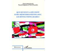 Que devient la sécurité euro-méditerranéenne avec les révolutions arabes ? - Pierre Pascallon - L'harmattan - broché - Essai