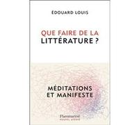 Que faire de la littérature ? – Méditations et Manifeste – Flammarion