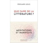 Que faire de la littérature ? – Méditations et Manifeste – Flammarion
