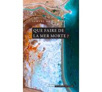 Que faire de la mer morte ? - Samuel Wajc - Academie Royale Sciences Lettres - Poche - Guide