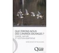 Que Ferons Nous Des Canards Sauvages ? - Chasse, Nature Et Gestion Adaptative