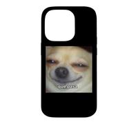 ¿Qué pasa? Drôle Chihuahua Chien Flou Espagnol Meme Coque pour iPhone 14 Pro