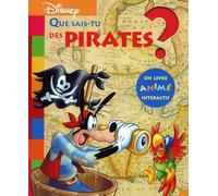 Que sais-tu des pirates ?
