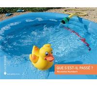 Que s'est-il passe ? - Nicolette Humbert - Joie De Lire - cartonné - Album éveil dès la naissance