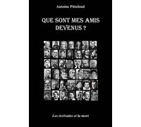 Que Sont Mes Amis Devenus ? - Les Écrivains Et La Mort