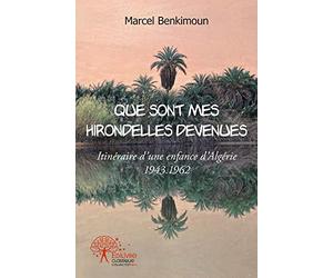 Que sont mes hirondelles devenues