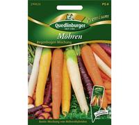 Quedlinburger Mélange de carottes arc-en-ciel 1 portion