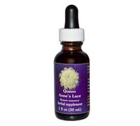 Queen Annes Lace Pipette 1 oz