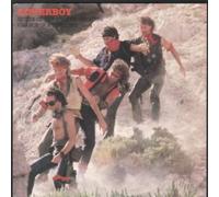 QUEEN OF THE BROKEN HEARTS 7" (45) DUTCH CBS 1983 GROUP ON HILLSIDE SLEEVE (CBSA3705) PIC SLEEVE