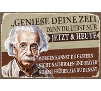 Queence Plaque en aluminium Dibond - 30 x 20 x 0,2 cm - Avec trous de suspension - Proverbes et textes - Albert Einstein