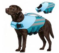 Queenmore Gilet De Sauvetage Chien Résistant & Durable Bouée pour Chien avec Poignée De Sauvetage Gilets De Flottaison pour Labrador, Golden Retriever, Lévrier, Teal, XL