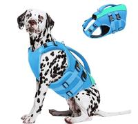 Queenmore Gilet de Sauvetage pour Chien Taille XL - Bleu, Ripstop, Réglable, Gilets De Flottaison avec Poignée de Sauvetage, pour Chiens Grands(Bleu,XL)